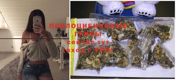 спиды Липки