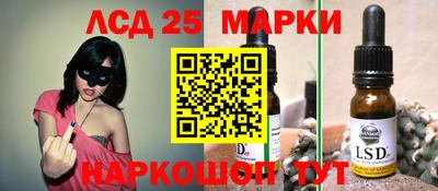 индика Нальчик