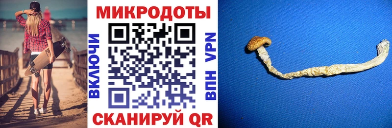 Галлюциногенные грибы мухоморы  Рассказово 