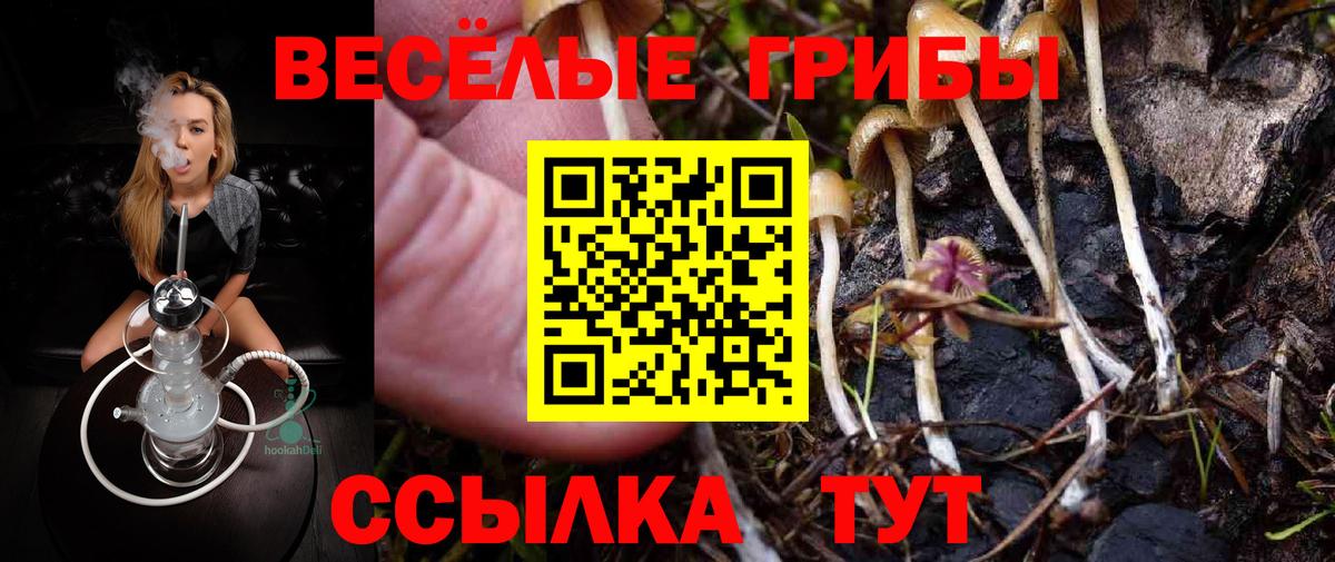магазин продажи   Галлюциногенные грибы Magic Shrooms  Вход с VPN  Рассказово 